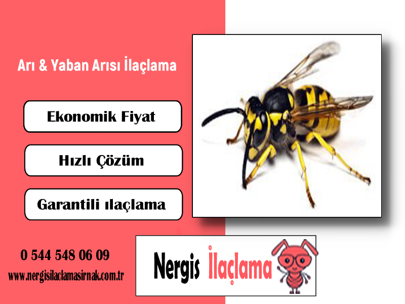 Arı & Yaban Arısı İlaçlama