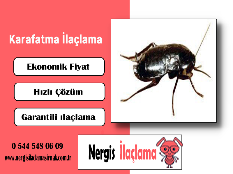 Karafatma İlaçlama