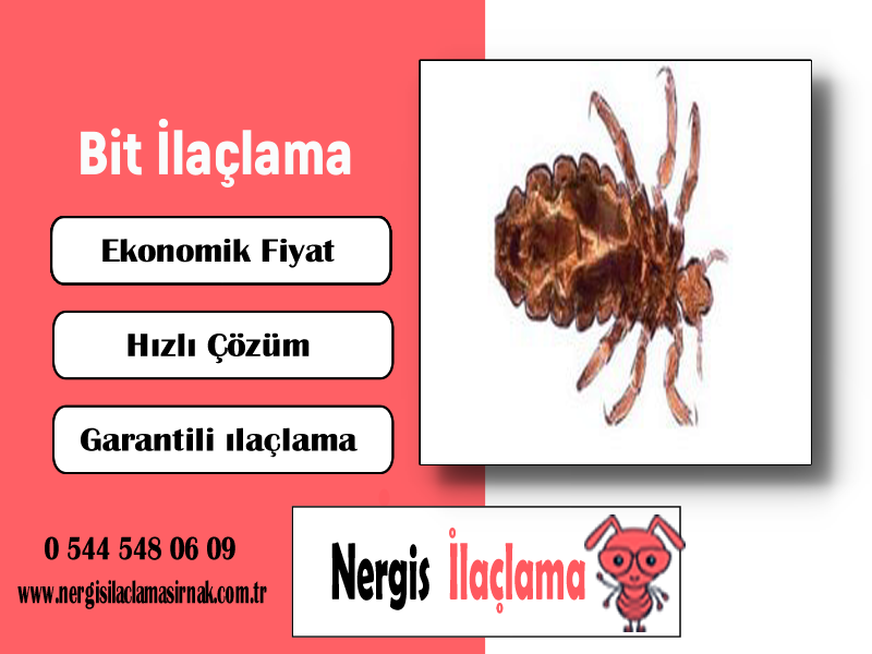 Bit İlaçlama