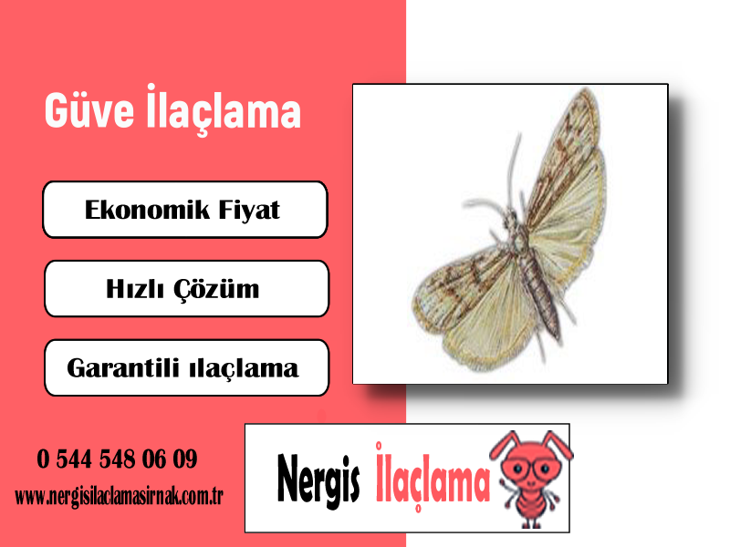 Hizmet Galerisi