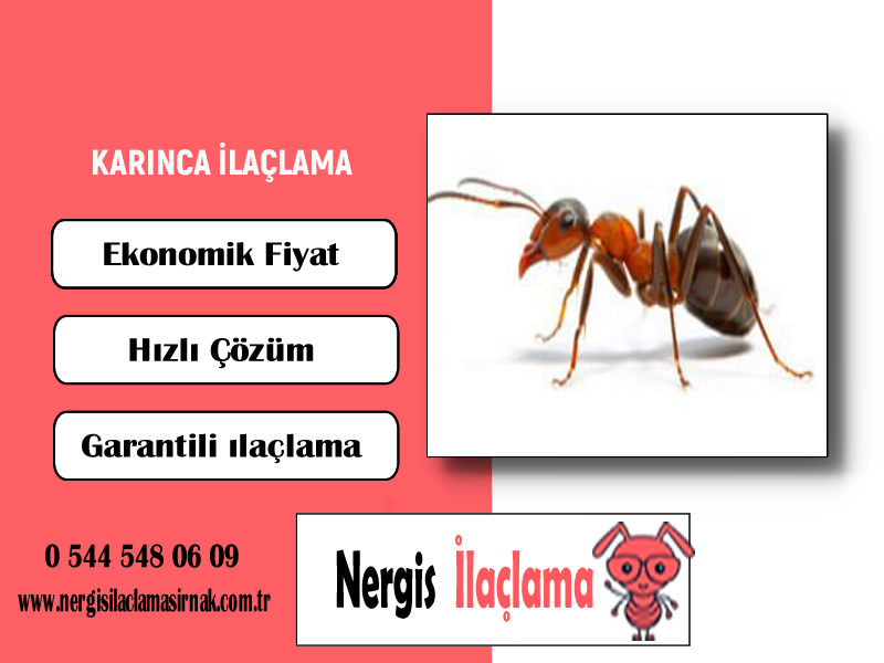 Hizmet Galerisi