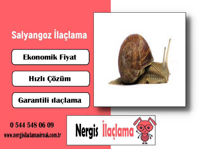Salyangoz İlaçlama