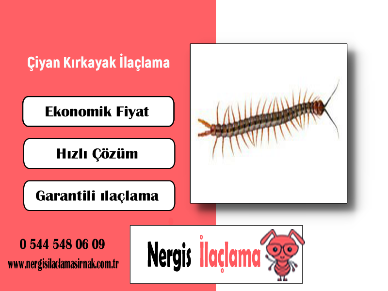 Çiyan Kırkayak İlaçlama