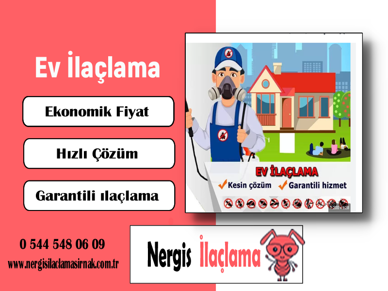 Ev İlaçlama