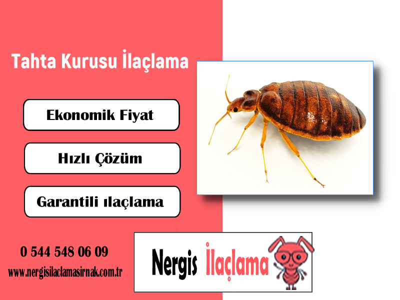 Tahta Kurusu İlaçlama