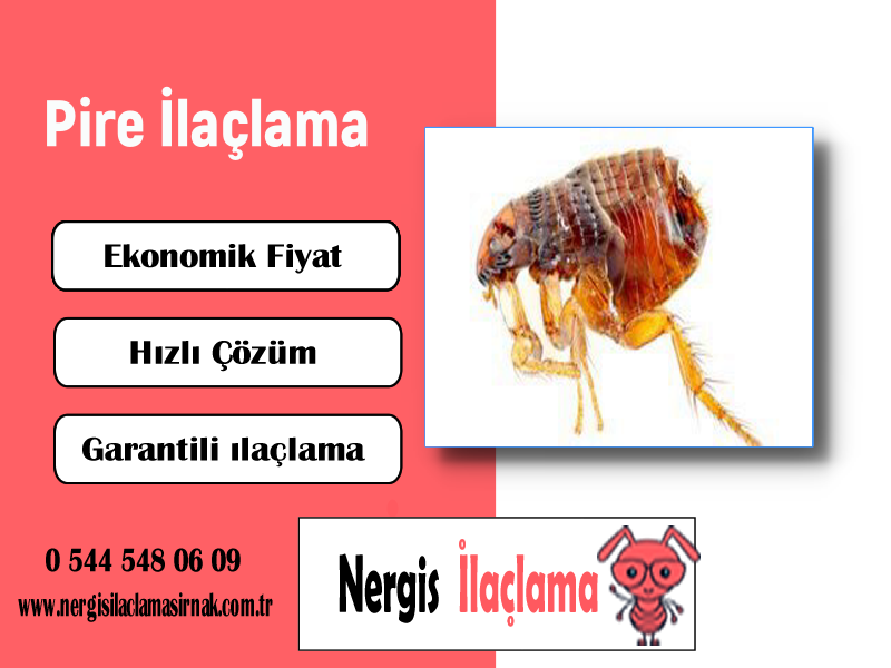 Hizmet Galerisi