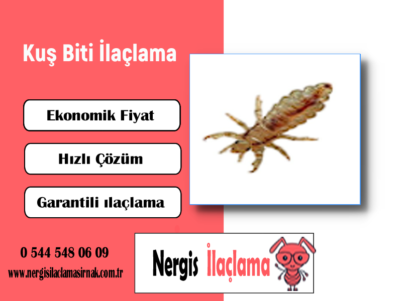 Hizmet Galerisi