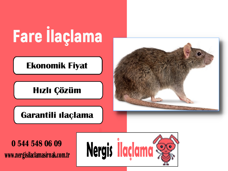 Fare İlaçlama