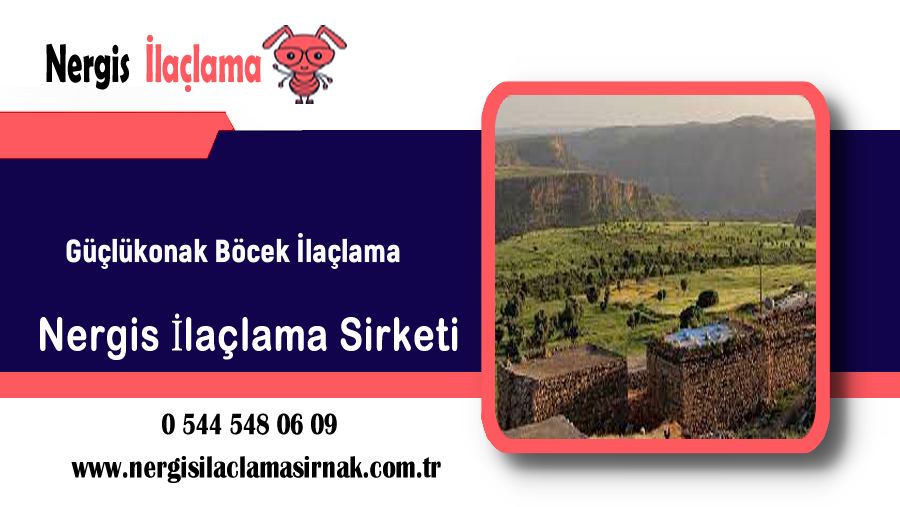 Hizmet Galerisi