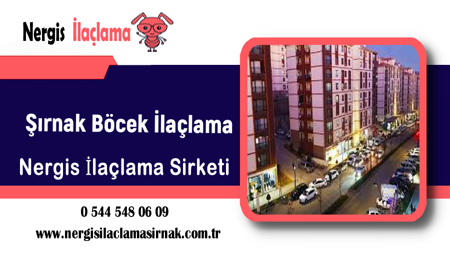 Hizmet Galerisi
