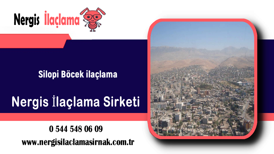Silopi  Böcek İlaçlama